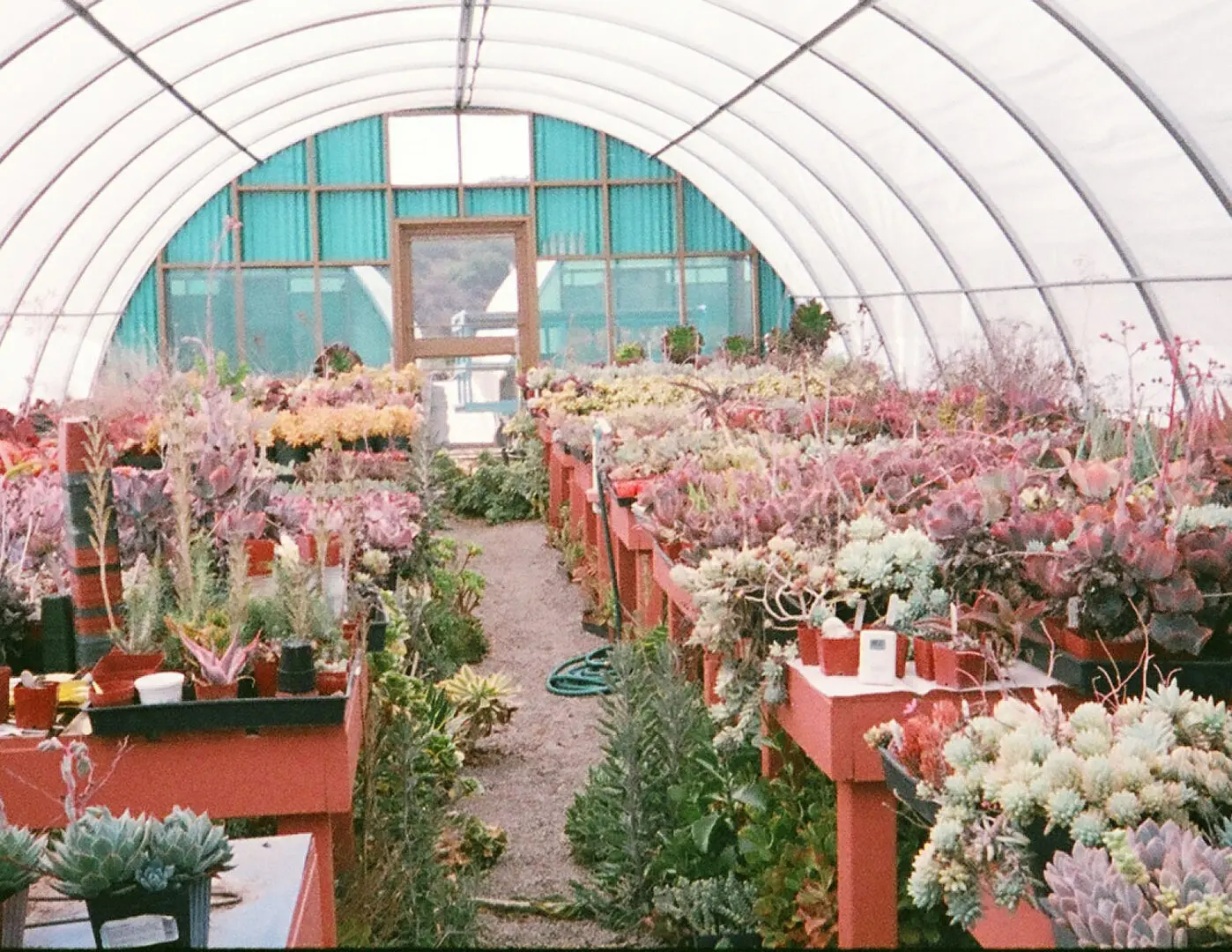 Daniel's Specialty Nursery